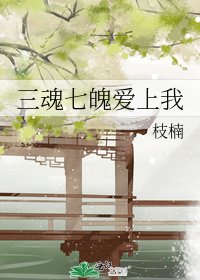 三魂七魄爱上我